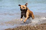 STAFFIE 180